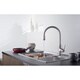 Rivuss Aureus Brushed Nickel Single Lever Solid Brass Pull-down Kitchen Faucet