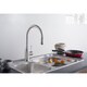 Rivuss Aureus Brushed Nickel Single Lever Solid Brass Pull-down Kitchen Faucet
