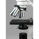 40X-2500X Advanced Compound Microscope with USB Digital Camera and 10 piece Slide Kit