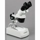 10X-30X Forward Stereo Microscope and Digital Camera
