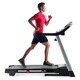 ProForm 520 ZN Treadmill