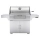 Napoleon PRO605CSS Charcoal Professional Grill
