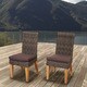 Amazonia Teak Sinclair Wicker/Teak Patio Chair Set with Brown Cushions (Set of 2)