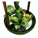 Bio Bubble Terrarium Drinking Fountain