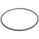 Pentek 143216 O-Ring for ST Stainless Steel Housings