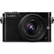 Panasonic LUMIX DMC-GM5 Mirrorless Micro Four Thirds Digital Camera with 12-32mm Lens (Black)