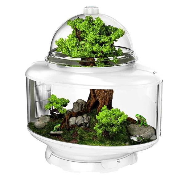 Bio Bubble Terrarium Reptile