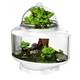 Bio Bubble Terrarium Reptile