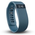 Fitbit Charge Wireless Activity Wristband - Slate, Large