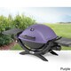 Weber Q1200 Portable Gas Grill