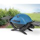 Weber Q1200 Portable Gas Grill