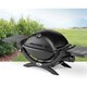 Weber Q1200 Portable Gas Grill