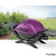 Weber Q1200 Portable Gas Grill