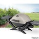 Weber Q1200 Portable Gas Grill