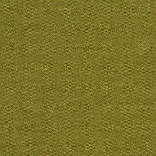 Green Solid Outdoor Print Upholstery Fabric