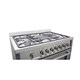 Freestanding/ Slide-in Stainless Steel 36-inch Gas Range (cos-965ag)