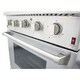 Professional Style 30-inch Gas Range (hrg3031u)