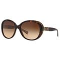 Coach Women's HC8120 L094 Carter 526213 Sunglasses