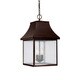 Capital Lighting Collins Hill Collection 3-light New Bronze Hanging Outdoor Lantern