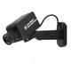 Streetwise Dummy Camera with Motion Detector