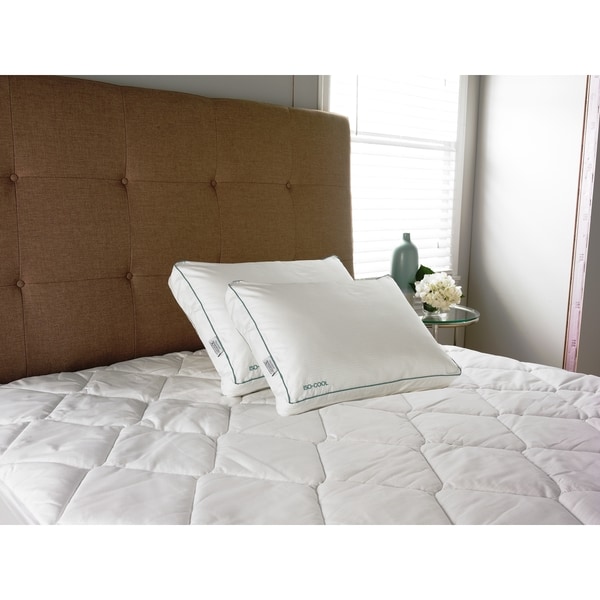 Splendorest Iso-Cool Side Sleeper Polyester Pillow with Outlast Cover (Set of 2)