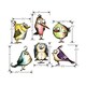 Sizzix Framelits Bird Crazy Die Set by Tim Holtz (18 Pack)