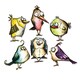 Sizzix Framelits Bird Crazy Die Set by Tim Holtz (18 Pack)