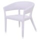 Decorative Modern Orinda White Indoor/Outdoor Chair