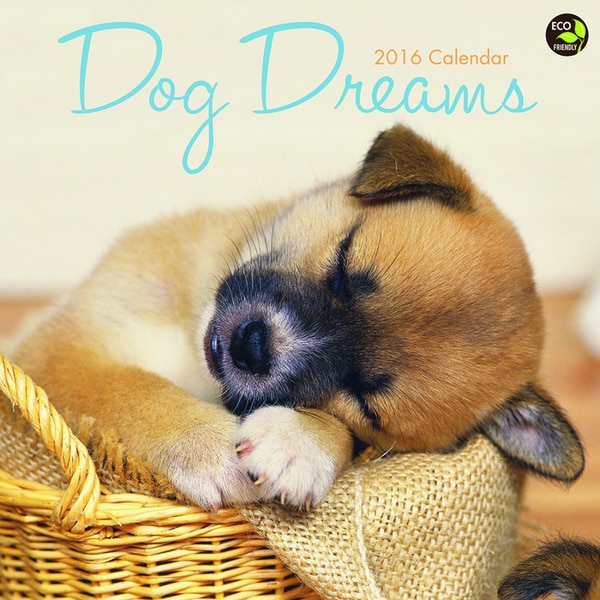 Dog Dreams 2016 Wall Calendar