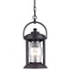 Troy Lighting Station Square 1-light Rust Hanging Lantern