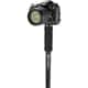 Black 21-inch Monopod