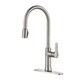 Kraus Nola Single Lever Concealed Pull Down Kitchen Faucet