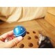 Cat Puzzle Toy Box