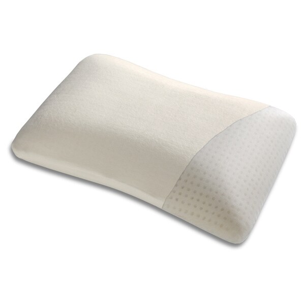 Fashion Bed Group Brisa Memory Foam Pillow (Set of 2)