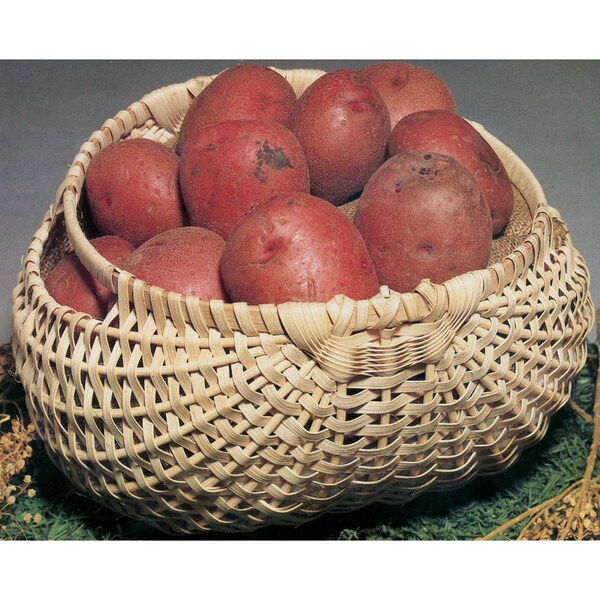 Blue Ridge Basket KitsPotato Basket 7inX12inX12in