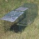 Oxgord Humane Pest and Rodent Control Live Animal Trap