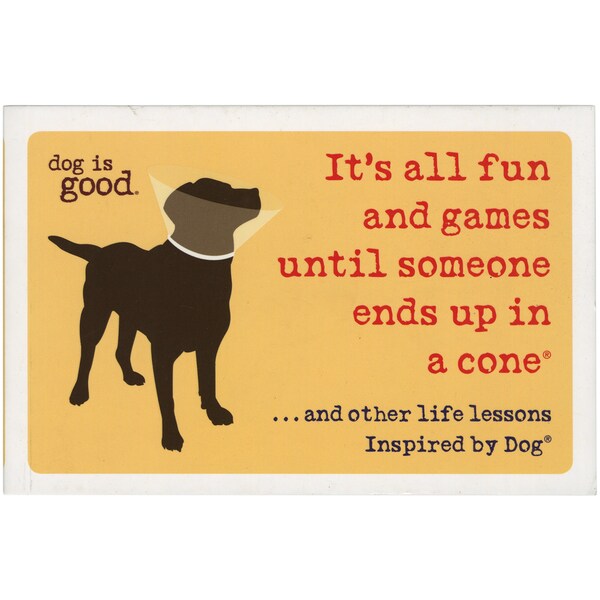 Sterling PublishingIt's All Fun & Games Until