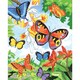 Color Pencil By Number Kit 8.75inX11.75inBright Butterflies
