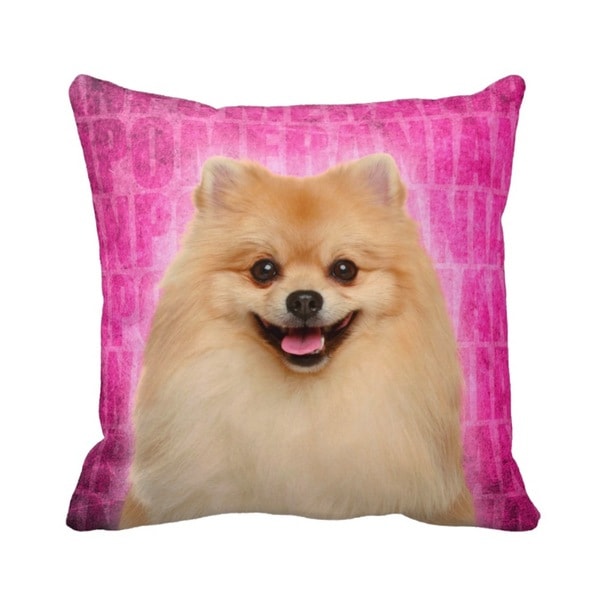 pomeranian pillow