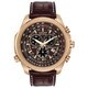 Citizen Men's BL5403-03X Eco-Drive Perpetual Calendar Chronograph Watch