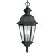 Traditional 3-light Distressed Black Outdoor Pendant