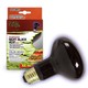 ZIlla Spot Light Night Heat Bulbs