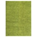 Soft Cozy Solid Green Indoor Shag Area Rug (5'3 x 7'3)