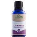 Woolzies 100-percent Pure Lavender Essential Oil (1 ounce)