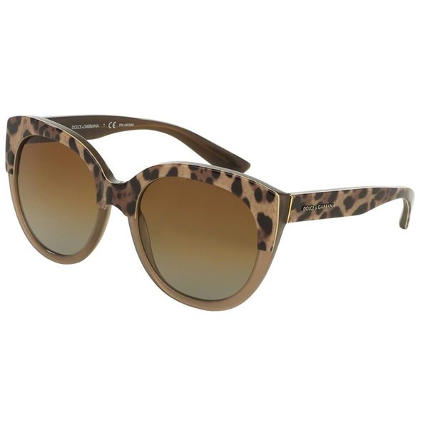 Dolce & Gabbana Women's DG4259 Brown Plastic Round Polarized Sunglasses