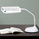 Everyday Home 5X Magnifying LED Sunlight 3 ft Desk Lamp