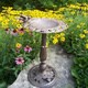 Premium Rose Bird Bath