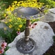 Premium Rose Bird Bath