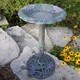 Premium Vineyard Bird Bath