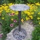 Premium Vineyard Bird Bath